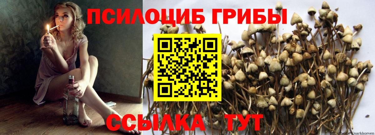 Галлюциногенные грибы прущие грибы  Вход с VPN  Галлюциногенные грибы мицелий  Барнаул 